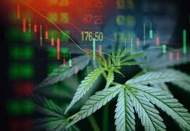acciones cannabis
